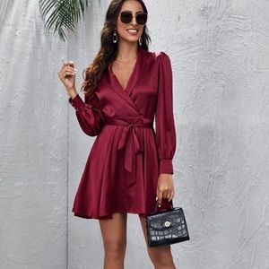Shawl Collar Self Belted Satin Dress
